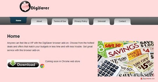 DigiSaver kuvankaappaus DigiSaver kuvankaappaus