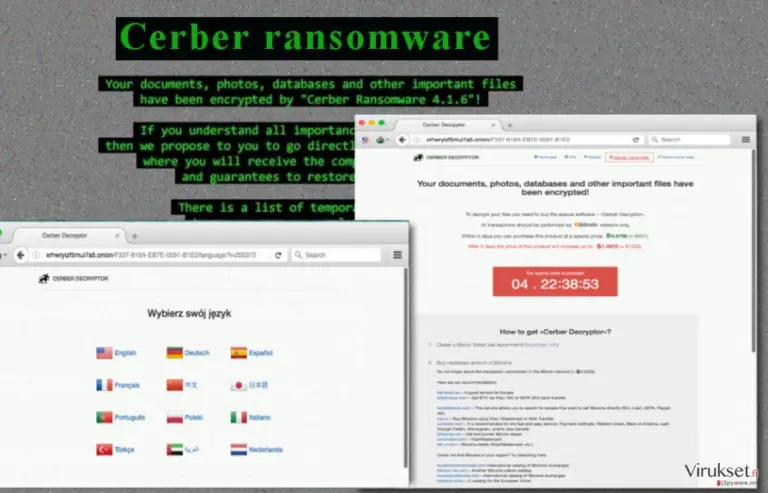 Cerber 4.1.6 version