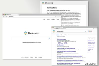 Cleanserp.net kuva
