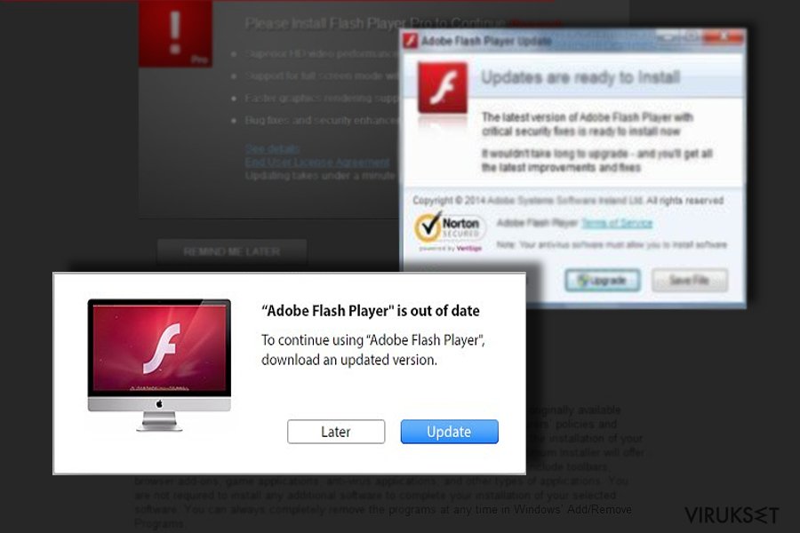 Flash player