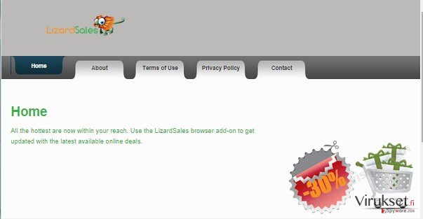 LizardSales mainokset kuvankaappaus LizardSales mainokset kuvankaappaus