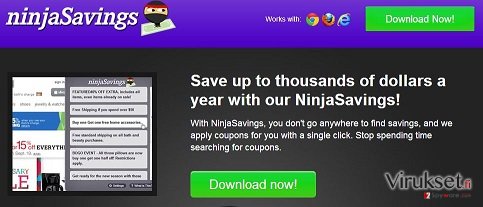 Ninja Savings kuvankaappaus Ninja Savings kuvankaappaus