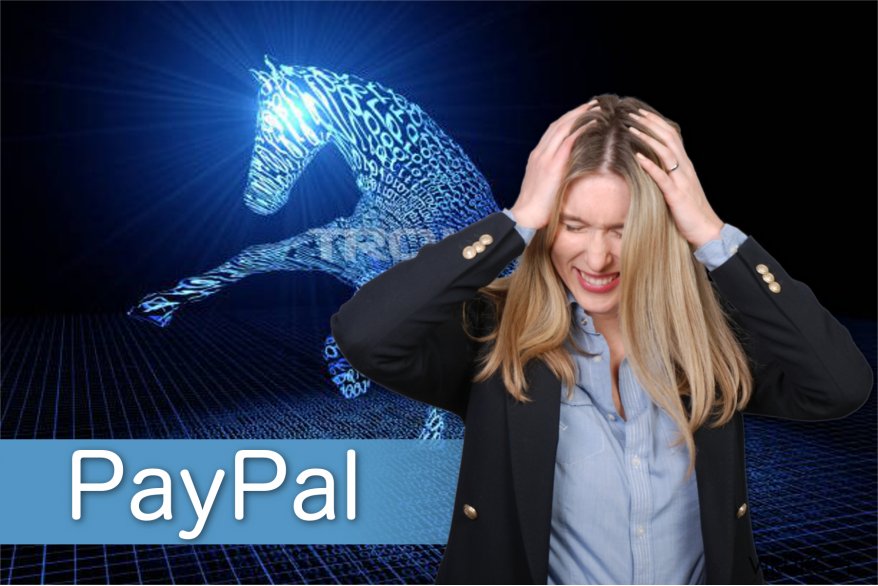 PayPal viruksen kuva
