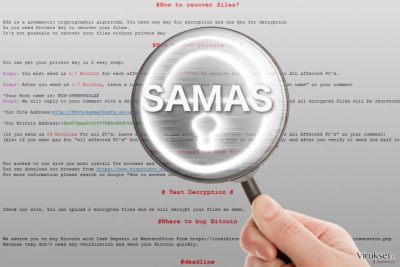 Samas lunnasohjelma suurennuslasin alla