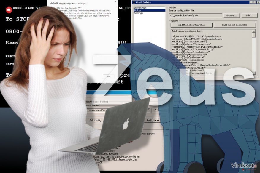 Zeus viruksen kuva Zeus viruksen kuva